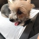 바닷가애펜션 이미지