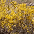 진도휴게소 이미지