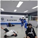 흑추관합기도주짓수