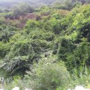 뚝심농장 이미지