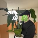 이도주공아파트 관리사무소 | 상계주공15단지 화분분갈이 행사 참여 후기