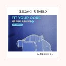 개미특수세탁 | 디스크 초기 진단받은 40대의 에르고바디 핏유어코어 솔직 후기