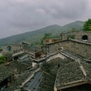 선경F·S