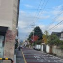 도깨비시장(서부시장앞) | 서울데이트 가볼만한곳 동묘앞 도깨비시장 주말나들이