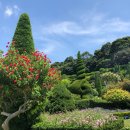 2025년5월4일밤[일]거제 외도보타니아&amp;해금강유람선&amp;바람의언덕.신선대&amp;전주 도로공사수목원 이팝 28인승 이미지