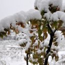 뚝섬한강공원-11 이미지