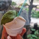 감자네식당 이미지