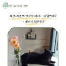 나무갤러리 - 전주시 덕진구 온고을로 286 | 나무갤러리