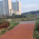 양덕 물빛공원 이미지