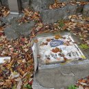 보련약수터 이미지