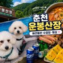 초록산장 | 춘천 운봉산장 애견동반 계곡 물놀이 평상 펜션까지 이용 후기｜1박2일