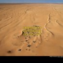 신한빛 공인중개사 사무소 이미지