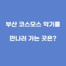 코스모스악기 이미지