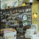 더 데일리 펫샵 이미지