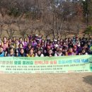 상록공원 이미지