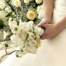 베흐 | W22 - 화이트&amp;그린 본식부케 추천💚 미카도 실크 드레스와 찰떡 '베흐플라워' 후기