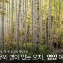 영양수비별빛캠핑장 이미지
