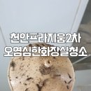 프라지움아파트(2차) | 천안 두정동 프라지움 2차 화장실 청소 후기 I 흡연으로 인한 니코틴 오염 제거까지