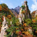 금강산금방