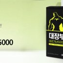 장스 팜