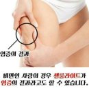 점핑퀸 이미지