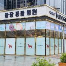 창문동물병원 이미지