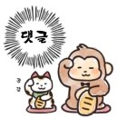 [오사카일기] USJ / 유니버셜 스튜디오 재팬 / 해리포터 마을 / 해리포터 지팡이 / 위저딩 월드 오브...