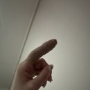 해운대윤정형외과의원 이미지