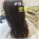 웅천2길 | 여수 로브무아｜웅천 애견동반 미용실 추천, 밀본 모발클리닉 솔직후기