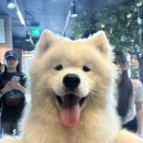 겨울이 머무는 집 이미지