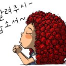 (주)맘스팜 이미지