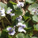 종지농장 이미지