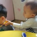 든솔 이미지