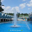 (주)동해보양온천컨벤션호텔 수영장 네이버블로그