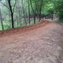 비래초교 이미지