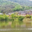 희락정민박 이미지