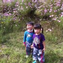 서하농장 이미지