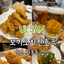 꼬끼오치킨 | 울산 화봉동 맛집 동네 맛집 꼬끼오치킨 후라이드 추천 간장땡초소스
