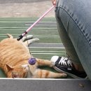 맥안마원 이미지