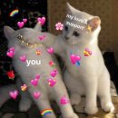 knok knok Eric✊🏻💗🦄 이미지