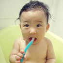 베이비쿤