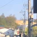 범식이네대패삼겹 이미지