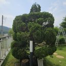 충남조경건설