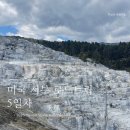 미국 서부 로드트립 5일차 / Yellow Stone National Park (+옐로스톤 국립공원 2일차 일정공유)