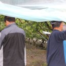 안흥농장 이미지