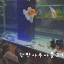 단짠아쿠아 평화점 이미지