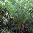 피츠유기농피부관리 이미지