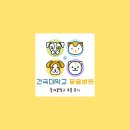 21세기종합동물병원 | 건국대학교 동물병원 강아지 슬개골탈구 수술 후기 ／수술 결정부터 회복 과정까지