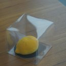 NR-7[동해대로]-상-120 | 7월 9일, 여름휴가 셋째 날 (2025)