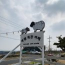 현리목장 | 제주도 여행 양떼목장 추천 여행지 [바램목장] 후기!